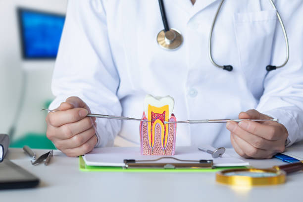 Best Emergency Root Canal Therapy in Russellville, AR